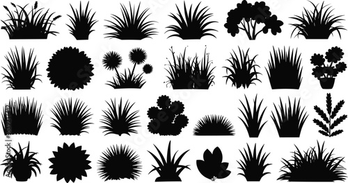 Bush and plant silhouette collection, decorative garden foliage, tropical leaves, grass shapes, landscape design elements, botanical black vector set, flat vector illustration