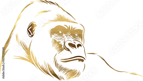 Golden gorilla head graphic illustration