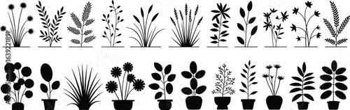 Plant silhouettes, potted plants, garden foliage, grass, flowers, botanical elements, vector collection for gardening, landscaping, nature, home decoration, flat illustration