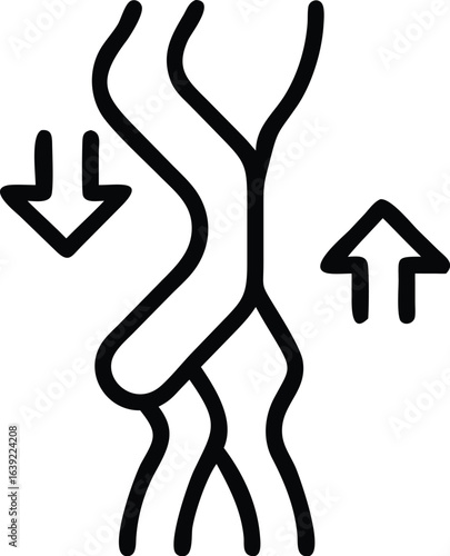 Blood Flow Through Arteries and Veins