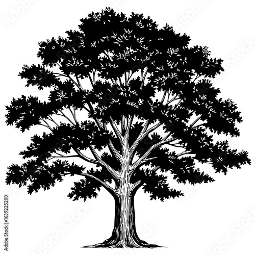 Silhouette of Majestic Tree: A striking silhouette of a grand, leafy tree, a symbol of strength and endurance. A majestic tree stands alone, its branches reaching towards the sky.