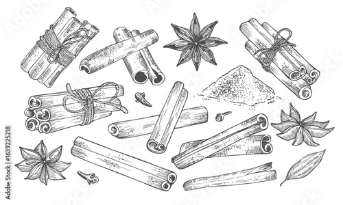 Cinnamon stick tied bunch, anise star and cloves. Vector drawing. Hand drawn sketch. Seasonal food illustration isolated on white. Engraved style spice and flavor.
