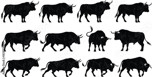 Black silhouette bull set, standing walking running positions, vector illustration, strong muscular cattle, aggressive horned animal, Spanish fighting bull artwork, isolated