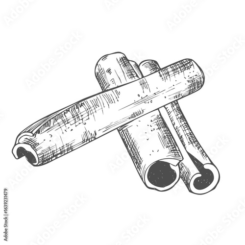 Cinnamon sticks. Ink sketch set. Hand drawn vector illustration.