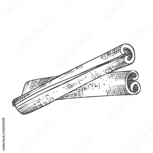 Cinnamon sticks. Ink sketch set. Hand drawn vector illustration.