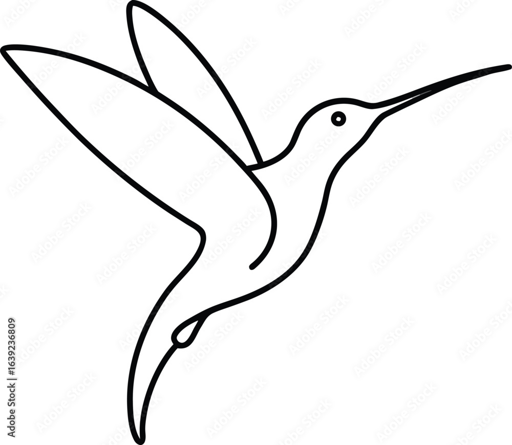 Fototapeta premium vector illustration of a bird