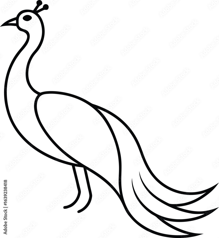 Fototapeta premium vector illustration of an Peacock