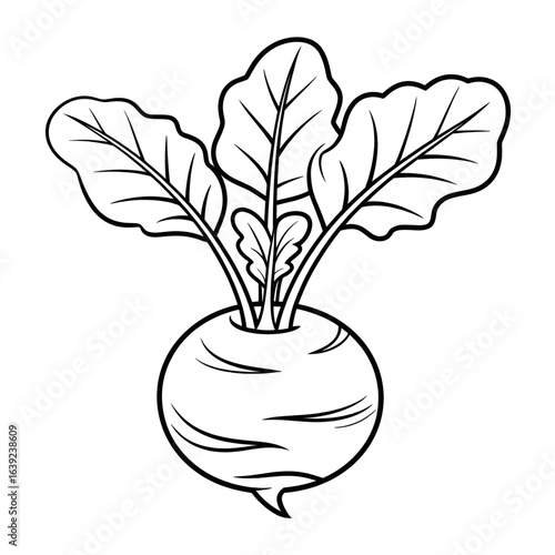 A black and white kohlrabi illustration line art of a coloring page 