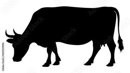 Silhouette of a grazing cow with horns and tail visible against a white background in a vector graphic
