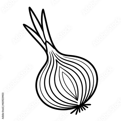A black and white onion illustration line art of a coloring page 