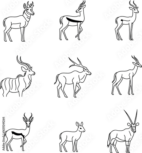 Elegant animal silhouette line art isolated on white background
