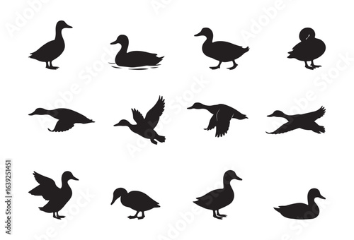 Duck Silhouette Vector Set