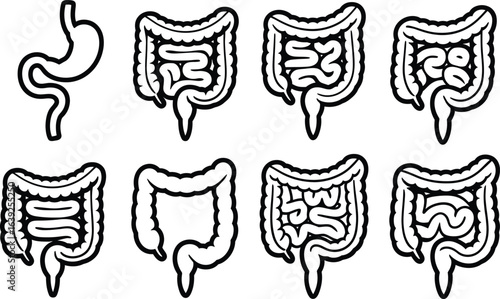 Anatomical illustrations of human digestive organs