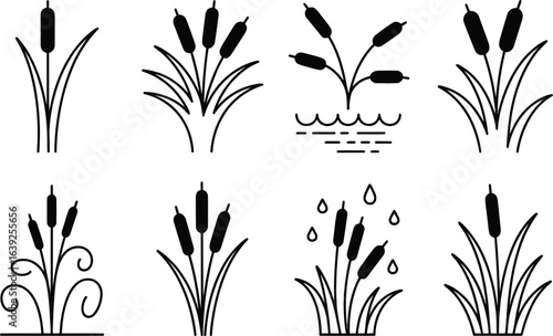 Set of cattail plant icons in various styles Keywords: cattail, bulrush, reed, marsh plant