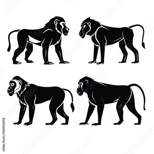 Black and White Monkey and Baboon Collection