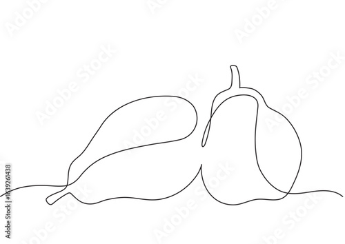 Two linear vector pears in minimalism doodle drawing