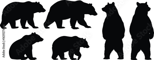 Bear silhouette collection, walking bears, sitting bear, standing bear, wildlife illustration, animal shapes, black bear outline, forest animal vector, nature art, grizzly bear pose, design element