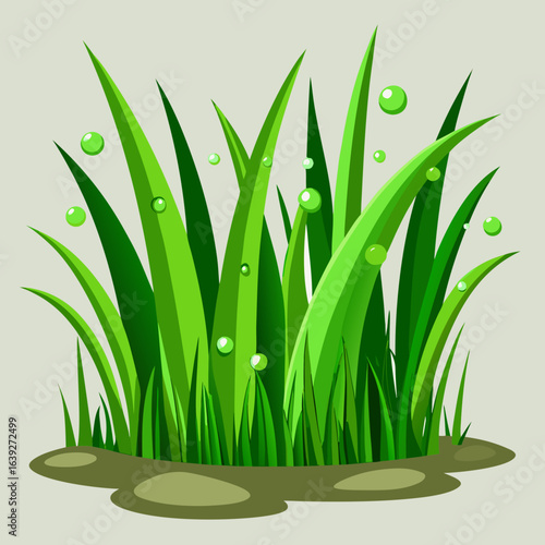 green grass on a white background