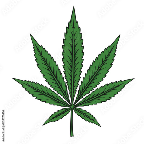 leaf Adobe Illustrator Vector