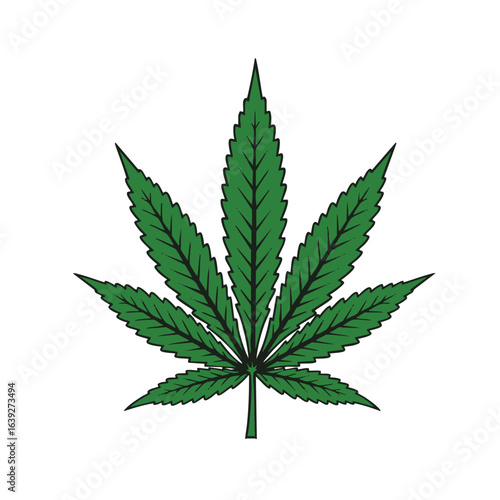 leaf Adobe Illustrator Vector