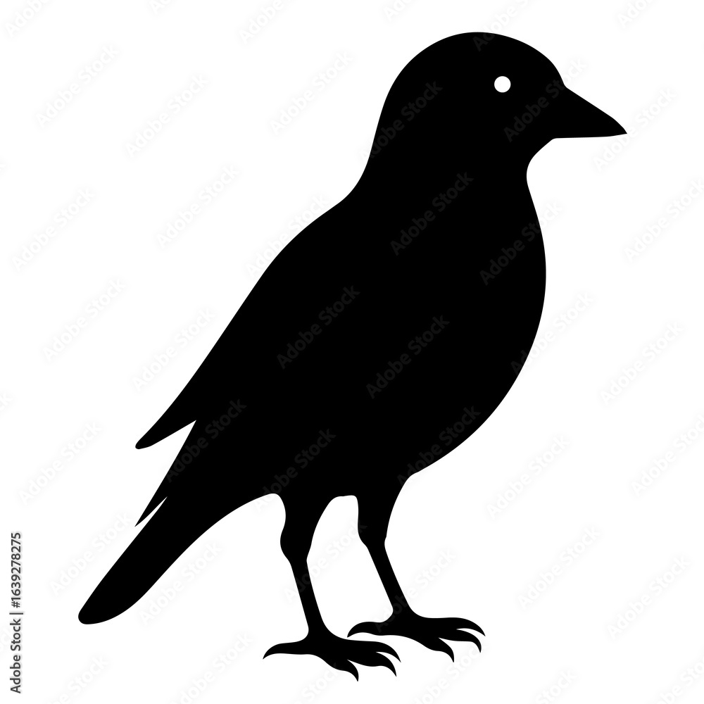 Obraz premium bird on a white background