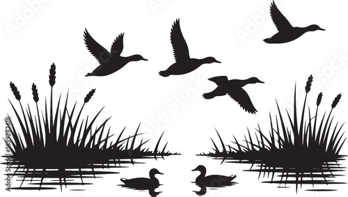 Silhouette Flying Ducks over Wetland with Marsh Grass Black on White Isolated