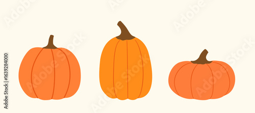 Set of autumn harvest orange pumpkins element.
Fall pumpkin flat stock vector illustration.
Design element for Halloween,harvest festival, Thanksgiving . 
fresh vegetable.
