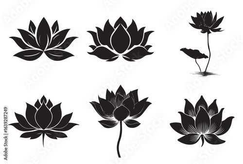 Illustration of six lotus flowers in black and white with varying levels of detail and compositions
