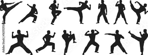 Martial arts silhouettes, karate poses, fighting stances, kung fu moves, self-defense techniques, action poses, sports training, 