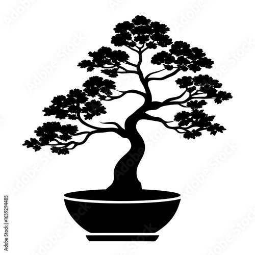 bonsai tree vector