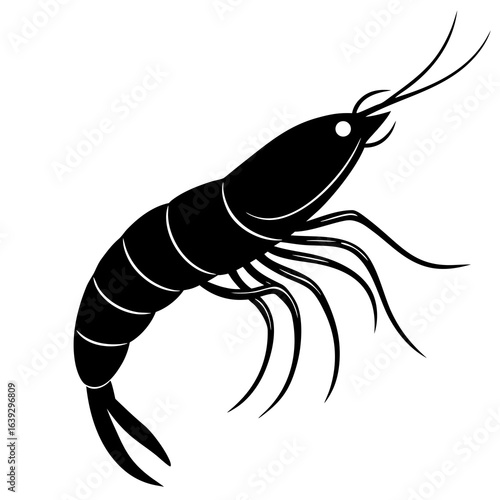 vector illustration of a shrimp