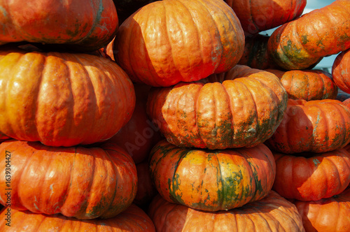 A vibrant pile of ripe orange pumpkins stacked together under sunlight. Perfect autumn harvest background, symbolizing fall, Halloween, and Thanksgiving. Rustic, natural, seasonal vegetable market