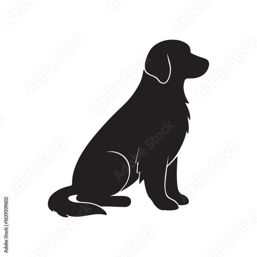 black labrador retriever
