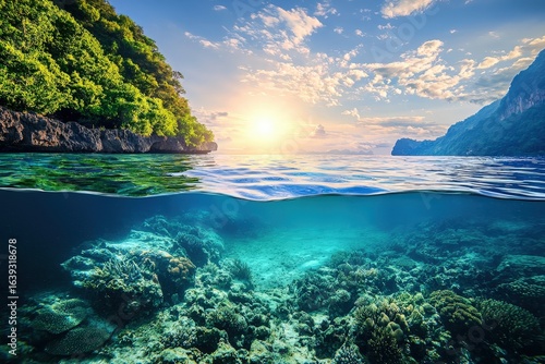 Marine landscape with underwater view nature scenic sea