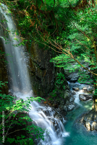 Wallpaper Mural 付知峡 Torontodigital.ca