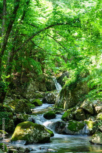 Wallpaper Mural 渓谷 Torontodigital.ca