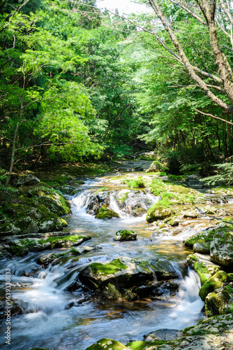 Wallpaper Mural 渓谷 Torontodigital.ca