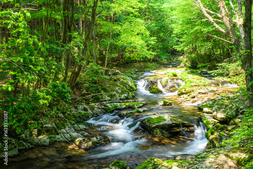 Wallpaper Mural 渓谷 Torontodigital.ca