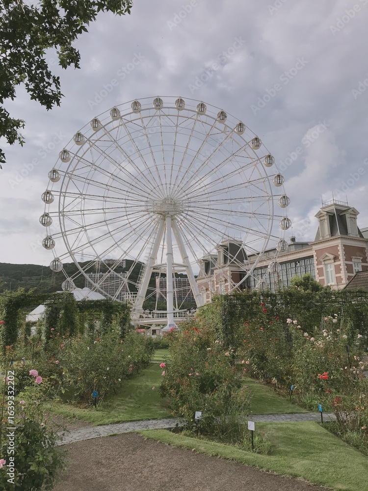 Fototapeta premium Large Ferris wheel behind blooming rose garden in park