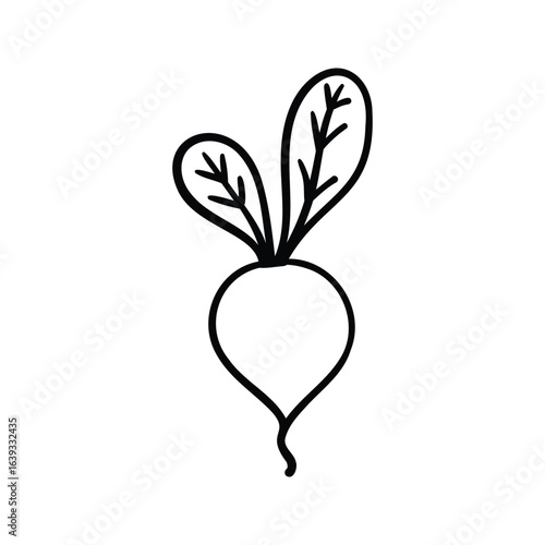 Hand drawn beetroot outline element icon