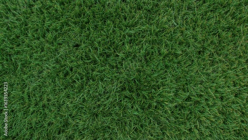 Wallpaper Mural Man-made grass texture ideal for football and golf grounds Torontodigital.ca