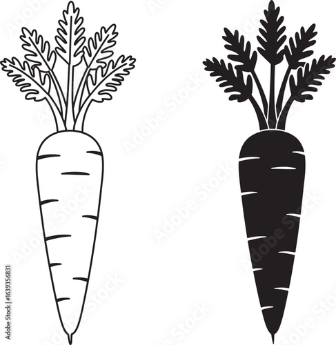Carrot Illustration Set Outline and Silhouette Style Simple Vector Design