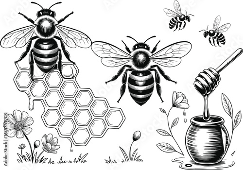 Honey bee, honeycomb, flower, nectar, pollination, insect, nature, honey jar, beekeeping, hive, apiary, dipper, buzzing, wings, anatomy, sketch, vector, illustration, drawing, design