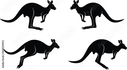 Kangaroo silhouette vector illustration, wildlife animal graphic, Australian fauna drawing, flat cad style, Adobe Stock image, SEO optimized content