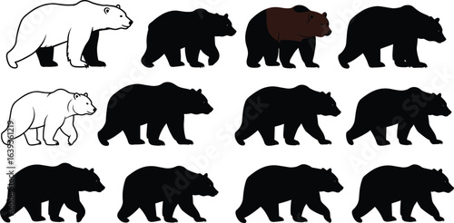 Set of walking bear vector silhouettes, diverse grizzly bear illustrations, wildlife animal, black and white icon, nature drawing, wild predator.