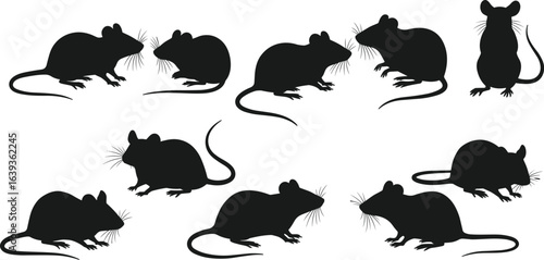 Silhouette black mouse vector set, mouse outline icon, collection of different mouse postures and sizes, standing and sitting rodents, mouse animal logo, flat design style.