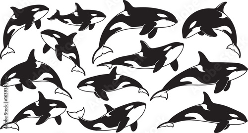 Killer Whale Silhouette Set