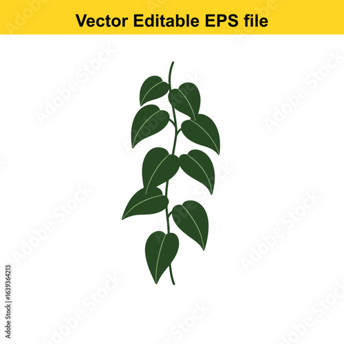 Indoor plant vector art of green plant stem with leaves isolated on white background