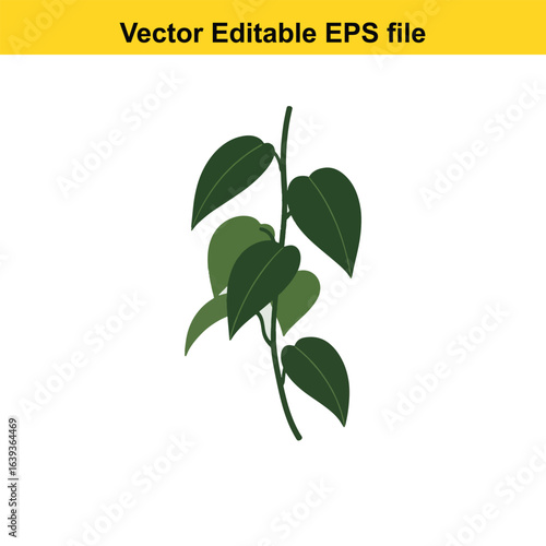 Indoor plant vector art of green plant stem with leaves isolated on white background