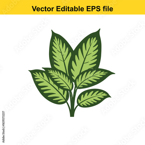 Indoor plant vector art of green plant with multiple leaves isolated on white background